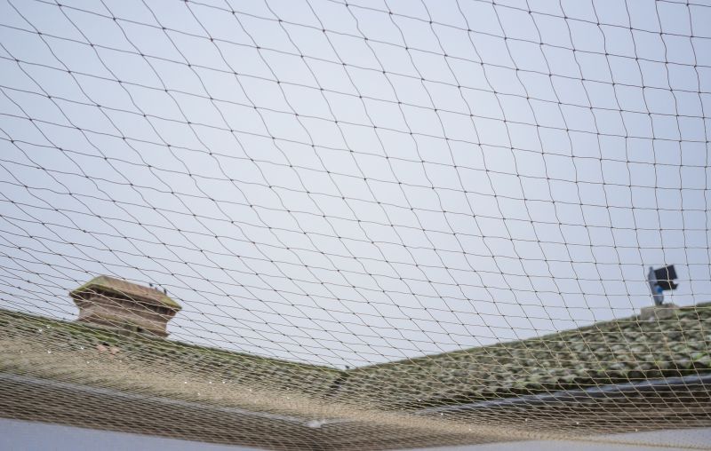 Netting Solutions